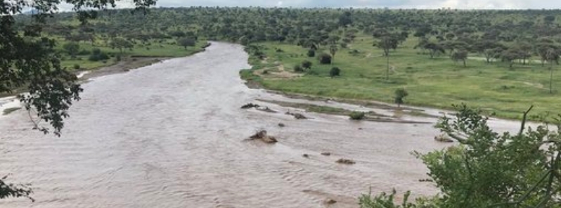 Heavy rains continue to wreak havoc in Tanzania, death toll now at 40