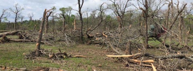 at-least-8-tornadoes-cause-heavy-damage-in-parts-of-north-texas-us