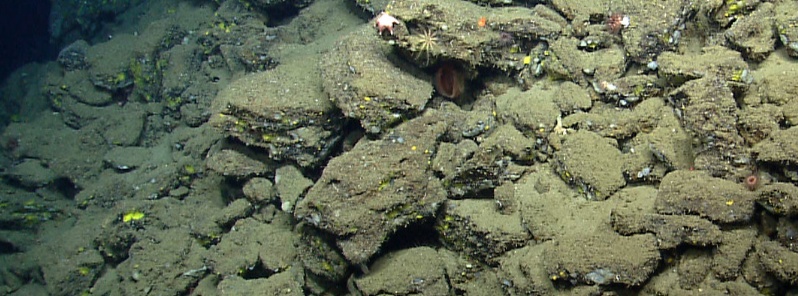 Study identifies 85 previously unknown submarine landslides in Gulf of Mexico from 2008 to 2015