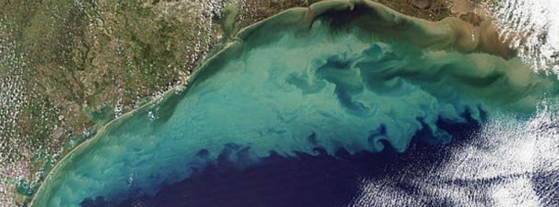 NOAA forecasts larger than average ‘dead ‘zone’ for Gulf of Mexico
