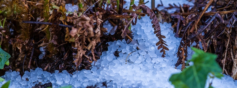 severe-hailstorm-causes-major-damage-to-agriculture-and-properties-in-fez-meknes-morocco
