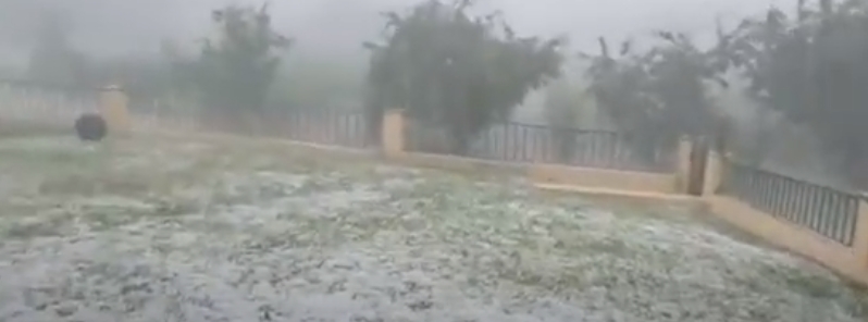 Severe hailstorm damages harvest worth more than 20 million dollars in northern Portugal