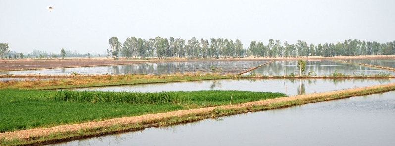 mekong-delta-worst-drought-history