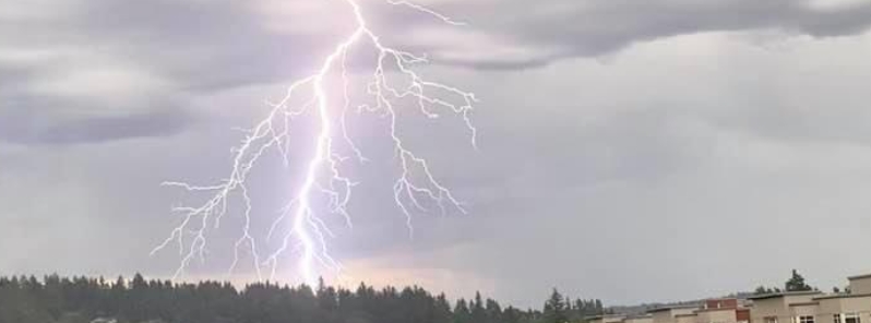Nearly 87 000 lightning strikes detected during ‘once in a decade storm’ in Washington state, U.S.