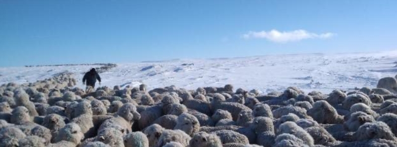 patagonia-reels-from-one-of-its-worst-winters-in-20-years-agricultural-emergency-declared