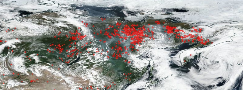 Wildfires in Siberia increase five-fold amid unprecedented heatwave