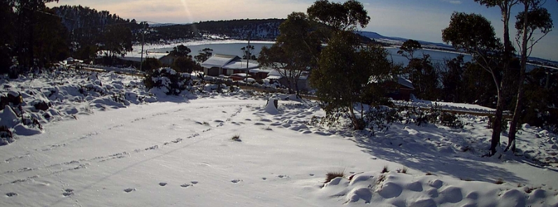 ‘Very significant’ cold blast brings rare snow, record temperatures to South Australia and Tasmania