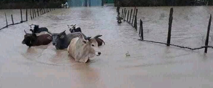 afar-ethiopia-flood-september-2020