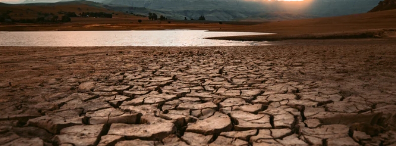 extreme-drought-drains-paraguay-river