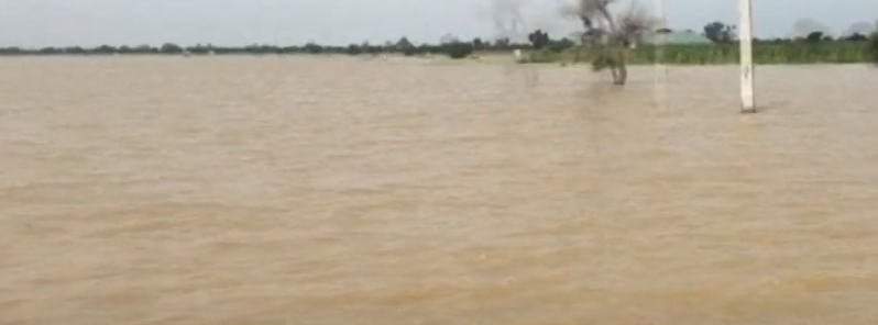 At least 40 dead and 2 million tons of rice destroyed as Jigawa sees worst flood in 32 years, Nigeria
