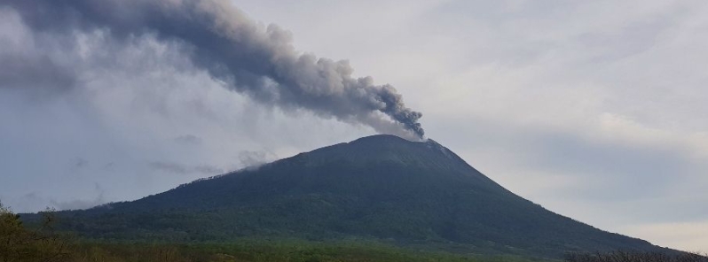Lewotolo volcano erupts for the first time since 2012, Indonesia
