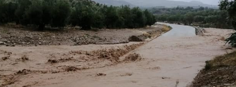 Severe floods hit southern Andalusia after a month’s worth of heavy rain falls in a day, Spain