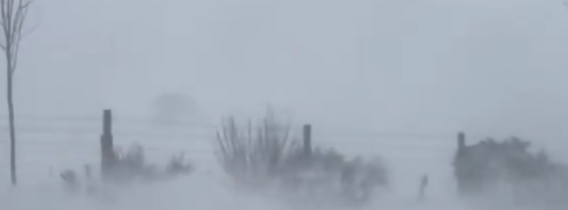 Powerful blizzard causes whiteout conditions in Northern Ireland