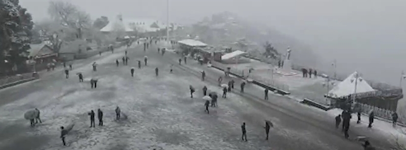 Shimla sees heaviest snow in 30 years as whiteout conditions hit Himachal Pradesh, India