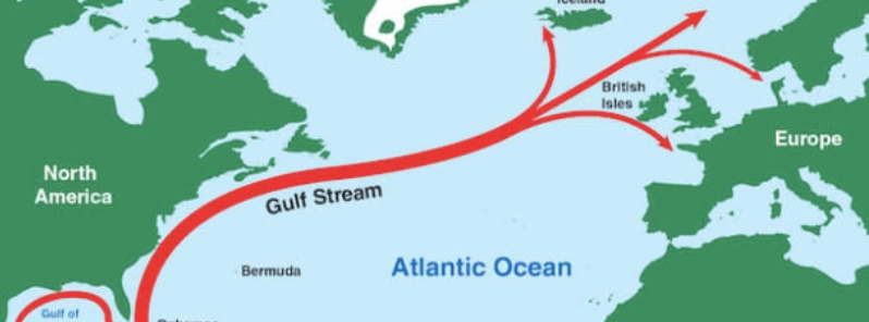 Scientists link rapid warming in Northwest Atlantic Shelf to migrating Gulf Stream