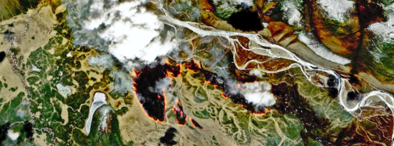 Forest fires from last summer rekindle in Siberia, sparking wildfire season early this year