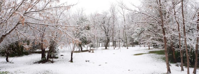 Snow falls in Cordoba for only 7th time in 100 years, Argentina