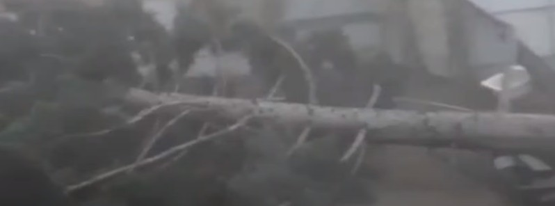 Hurricane-force winds hit Shagonar, Tuva, Russia