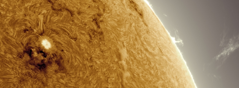 Scientists confirm existence of Alfven Waves, magnetic waves in the Sun’s photosphere