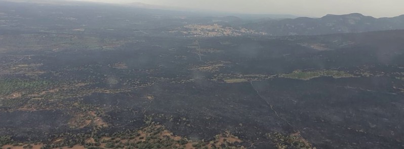 Thousands of animals perish, 1 500 people evacuate as massive wildfires ravage Sardinia, Italy