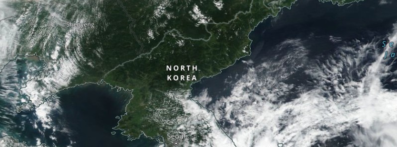 Significant loss of livestock in North Korea