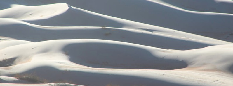 Frost covers sand dunes of Ain Sefra for the fifth winter in a row, Algeria