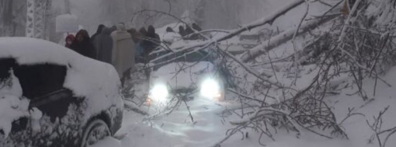 22 freeze to death after unprecedented snowstorm traps thousands of cars in Murree, Pakistan