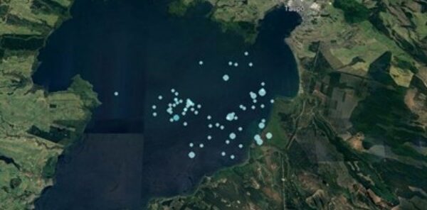 lake taupo earthquake swarm april to may 2022