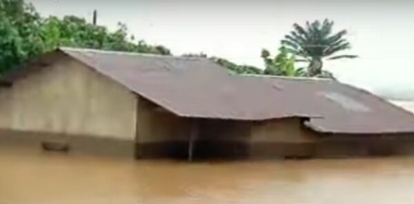 700 homes damaged or destroyed after heavy rains hit Tanzania