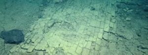 “Yellow brick road” – Unique formation found on Nootka Seamount