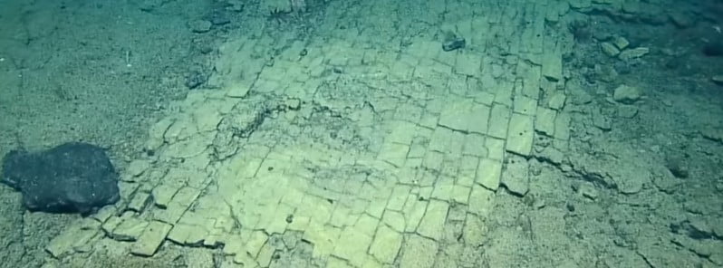 unique formation found at the summit of nootka seamount yellow brick road may 2022