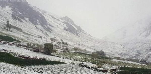 Summer snowfall, freezing weather claims 12 lives in eastern Afghanistan