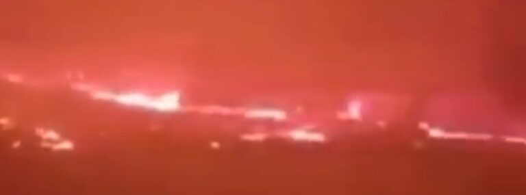 algeria forest fires august 2022 f