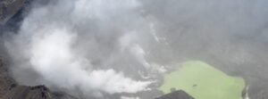 Steam and gas plume emissions at White Island volcano, New Zealand