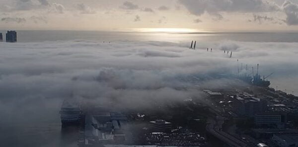 Amazing fog over Port Miami seen from above, Florida