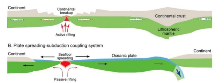 Schematic cartoons showing the two types of plate divergent-convergent coupling on Earth f