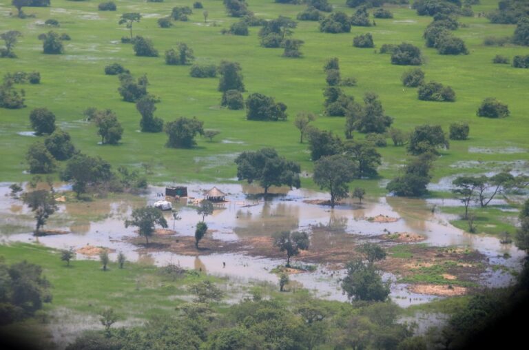 Catastrophic flooding devastates Zambia, displaces thousands The Watchers