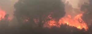 Wildfires along French-Spanish border force hundreds to evacuate