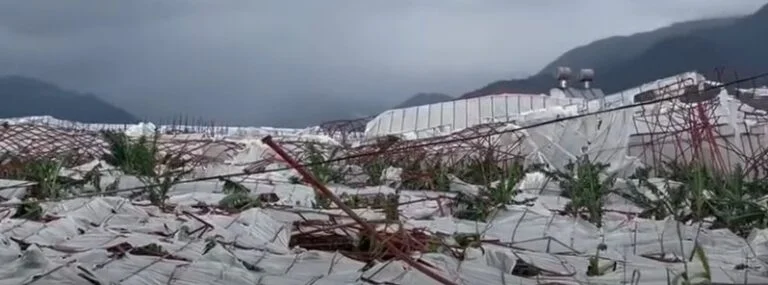 Tornado strikes Anamur district, Turkey, injuring over a dozen people and destroying banana greenhouses