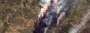 Devastating wildfires engulf southern Russia, claiming lives and property