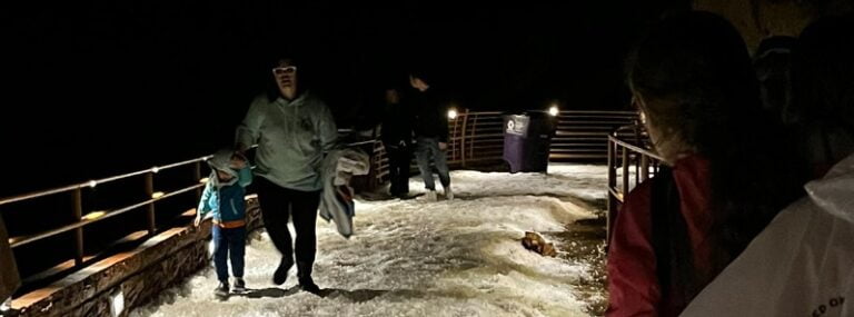 Hailstorm injures almost 100 at Louis Tomlinson concert at Red Rocks Amphitheater in Colorado