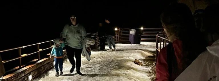 Hailstorm injures almost 100 at Louis Tomlinson concert at Red Rocks Amphitheater in Colorado