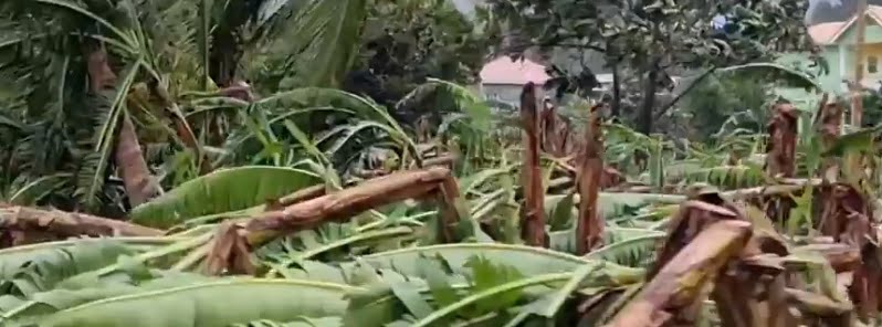 Saint Lucia's export crisis deepens as Tropical Storm Bret destroys major crops
