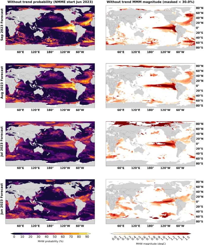 global marine heatwave maps without trend