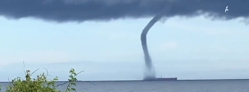 Waterspout outbreak over the Gulf of Finland