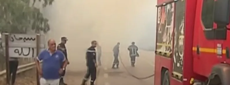 Widespread forest fires wreak havoc in Algeria, 34 confirmed dead f