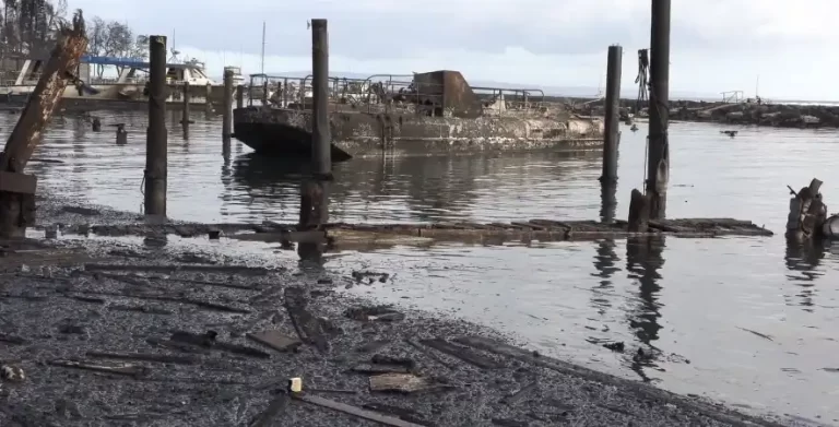 wildfire in lahaina hawaii damage - august 8 and 9 2023