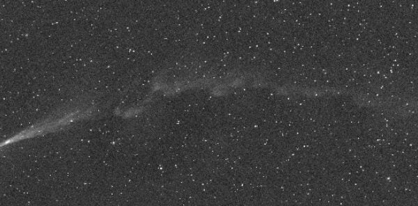 Comet Nishimura's tail ripped off by a CME