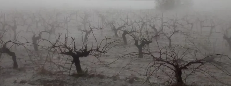 Over 22 000 ha (54 000 acres) of crops damaged by hailstorms and severe weather in Valencia