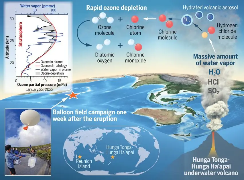 Chemical reactions triggered by Hunga Tonga eruption led to severe stratospheric ozone depletion